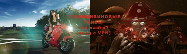 трава Алексин