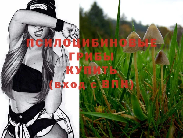ешки Алзамай