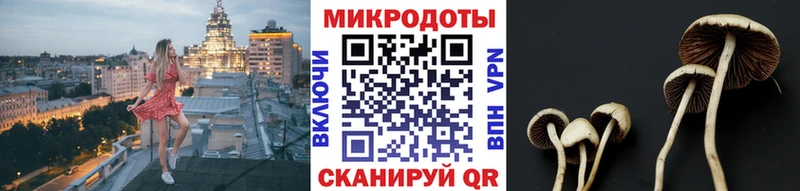 сколько стоит  Черепаново  Галлюциногенные грибы ЛСД 